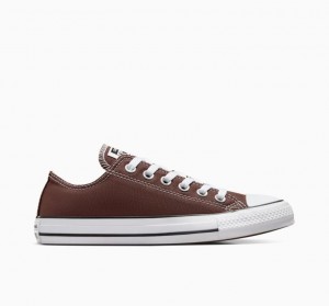 Tenis Converse Chuck Taylor All Star Seasonal Color Bajos Hombre Marrones | COLOMBIA W5031C